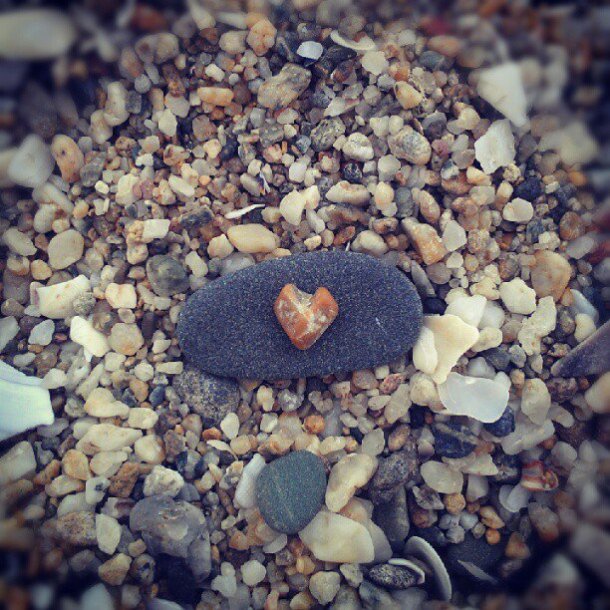 563655_10151296231814571_101864060_n