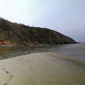 Муха в главата