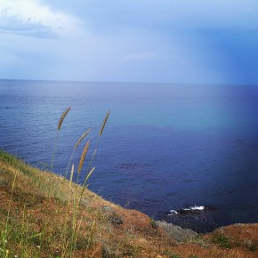 A Little Party Never Killed&nbsp;Nobody