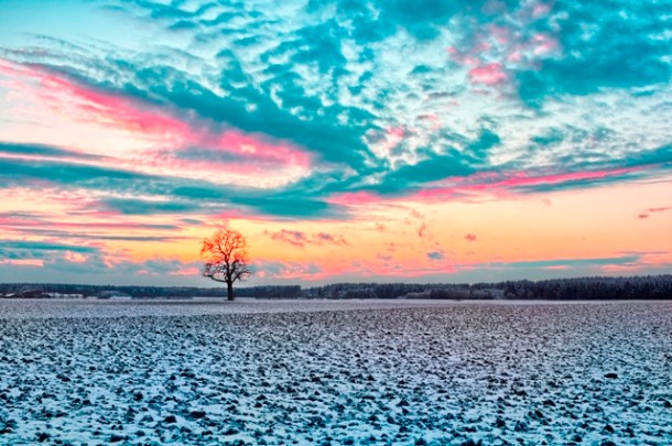 източник: sxc.hu, krappweis