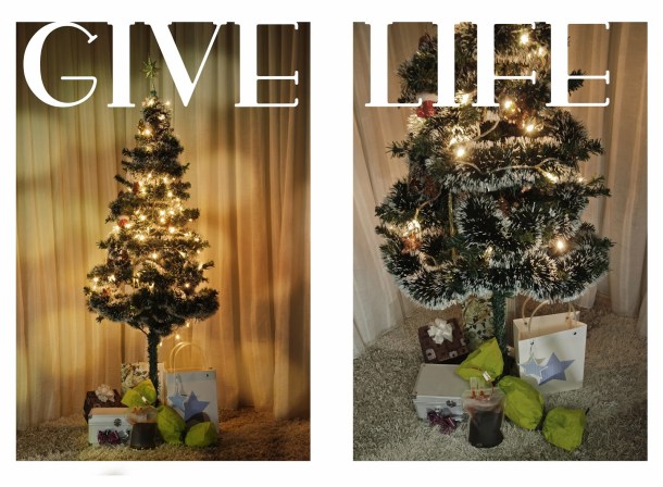 copyright: Атанас Китанов