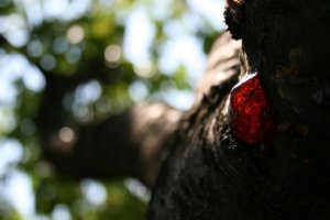 3311_79043409570_1085790_n