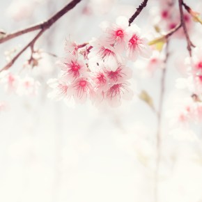 Животът продължава